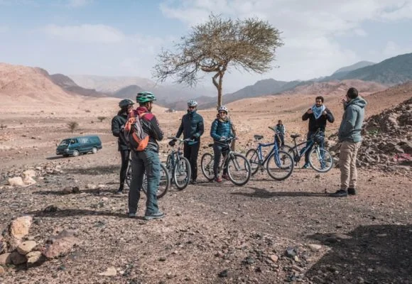 Mountain Biking