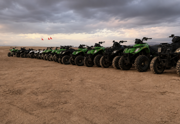 Adventurous Buggy Rides in Dead Sea