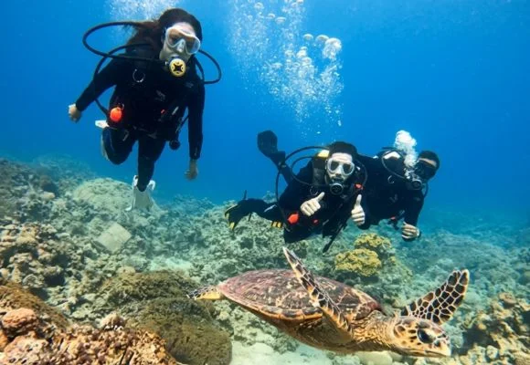Scuba Diving and Snorkeling in Red Sea, Aqaba