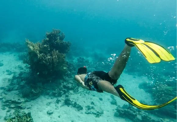 Snorkeling for a Clean Sea Experience