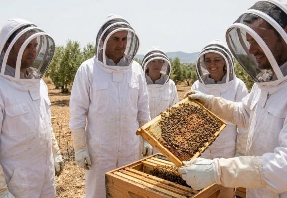 Beekeeping at Baraka Destinations