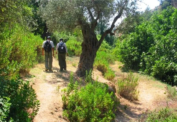 Orjan Village Trail – Ajloun Forest Reserve