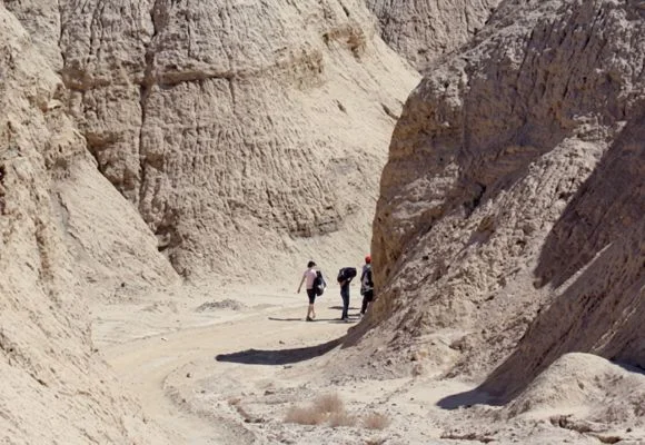 Ibex Trail  