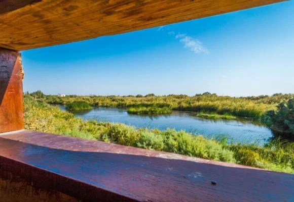 Azraq Wetland Reserve
