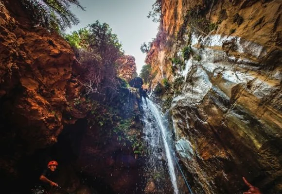 Wadi Al-Rayan