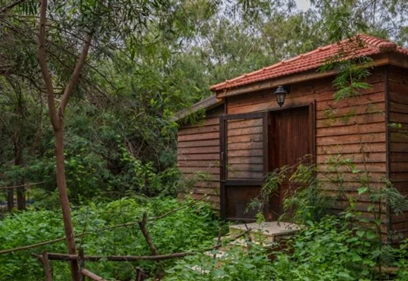 A Night in Wooden Cabins - Jordan EcoPark
